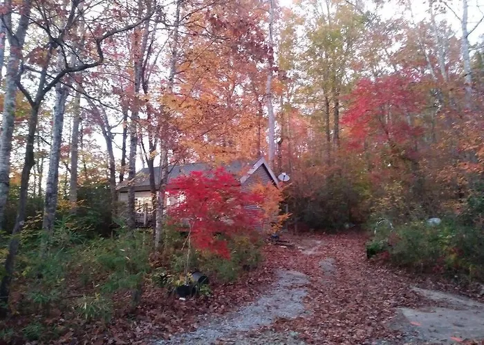 Two Rivers Cabins - The Dell